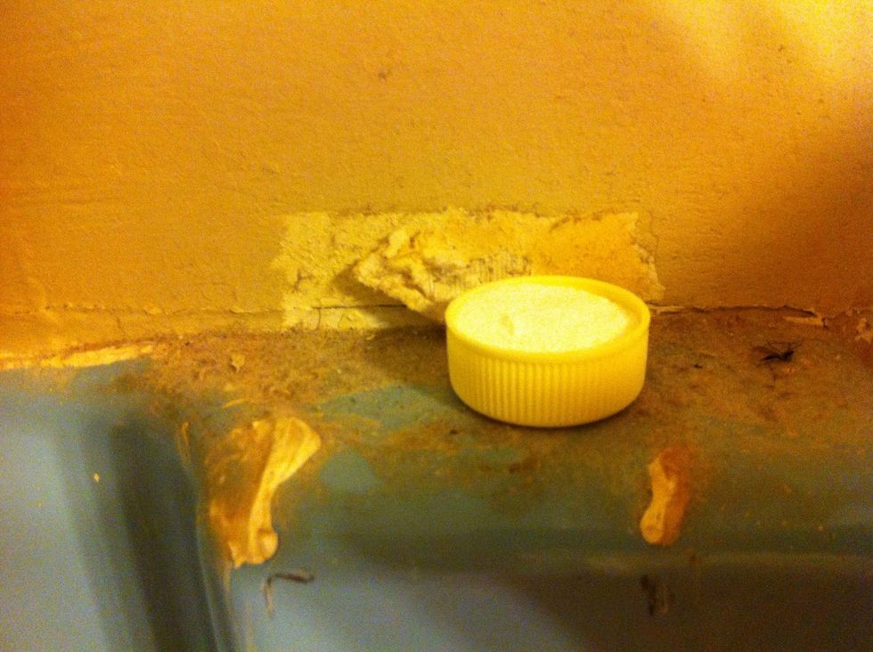 Now go back to where you saw that ant. Place your cap with poison near it to find. Our first instinct is to kill the ants. But we want them to carry the poison back to the colony to kill them all..