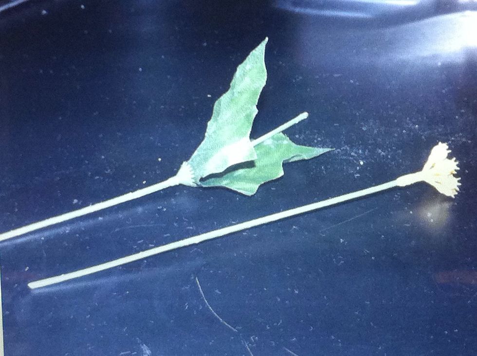 Now, go find some old artificial flowers and pull the flower head off. Save the center, the stem and leaves.