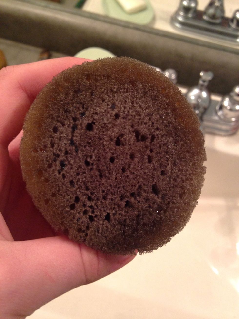 Now go over all your bridle pieces again with your damp sponge with Lexol on it. If you need more Lexol, dampen your sponge with water again before putting the Lexol on the sponge.