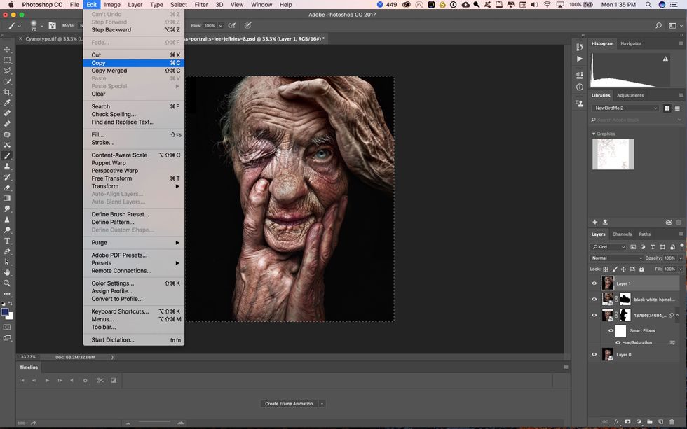Now Go to the file menu and click on copy or hit command + C on the keyboard.