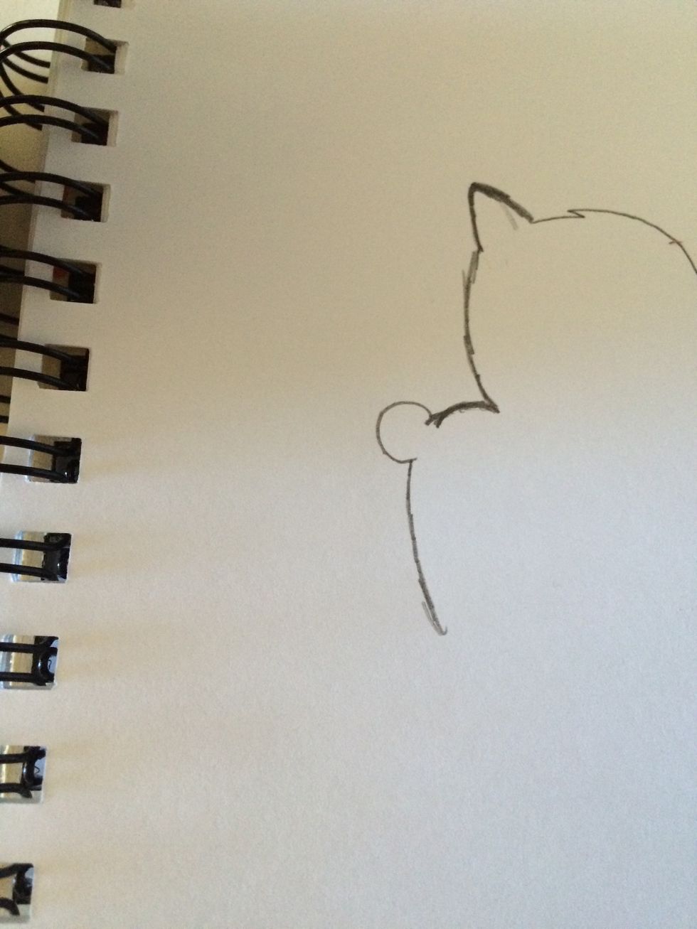Now his tail and back