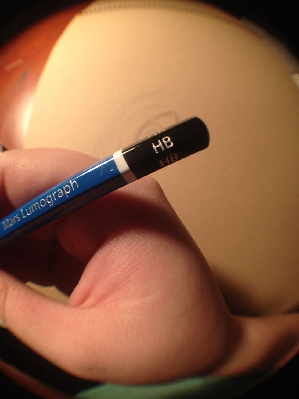 Now I like where I've laid my lines down. I'm going to start making them a little darker.