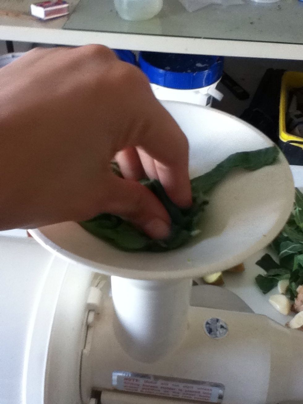 Now I start pushing the collards, cabbage and cilantro through.