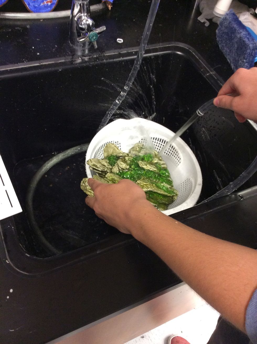 Now if you would like to add any decor or fun items for your fish go for it! Like the rocks, if not already clean you will need to give it a good rinse.