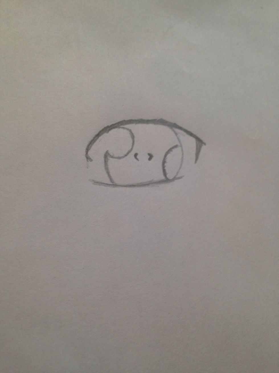 Now, In the middle, draw two small parenthesis, these represent the pupil.
