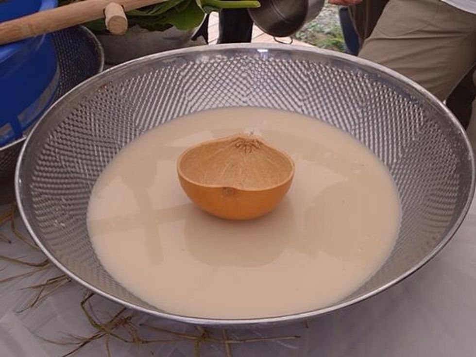 Now,it's ready to serve lotus leaf makgeoli. How is it? Sweet and fruity!! Hope you try it! :)