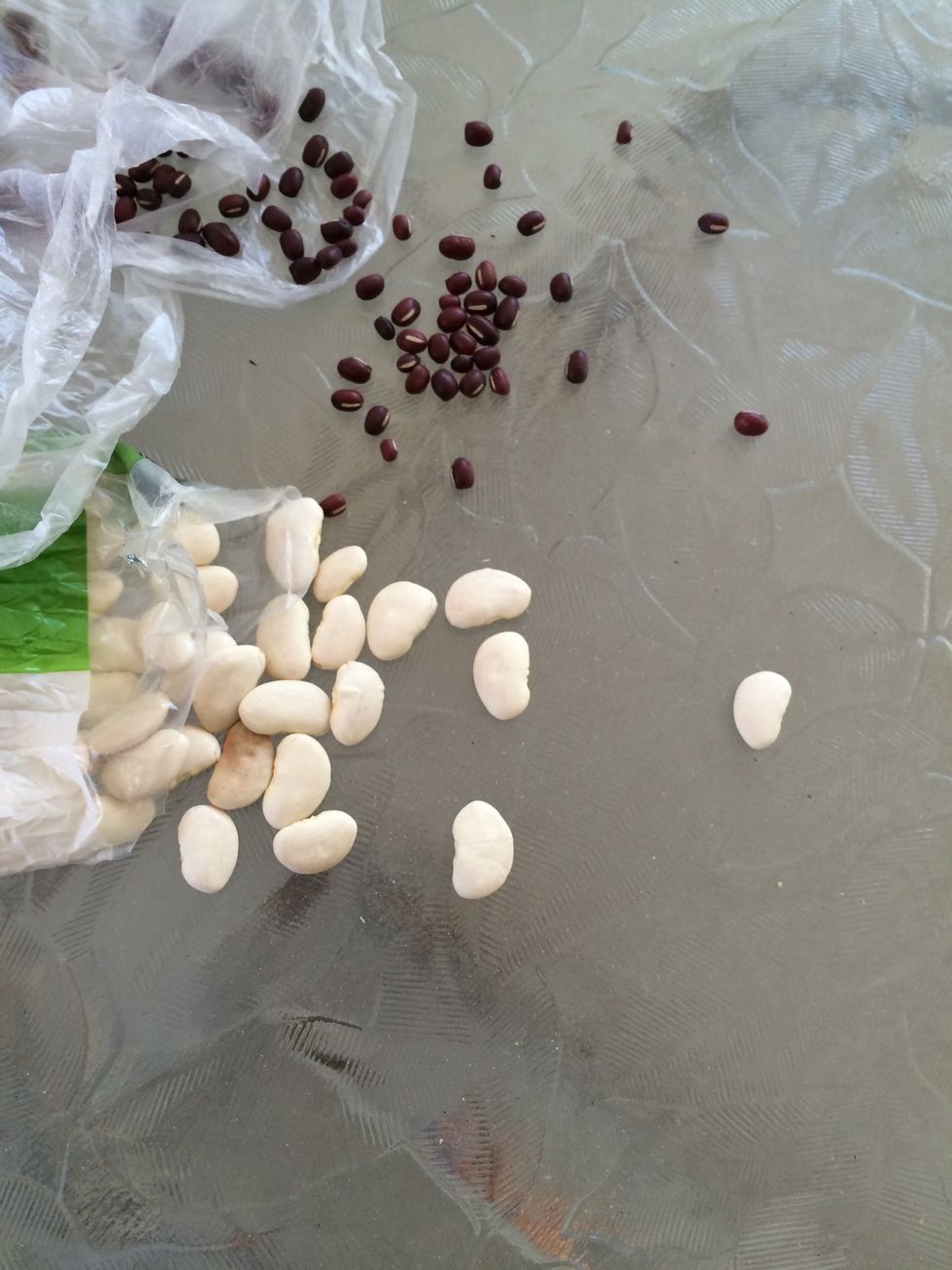 Now it's time for your beans and seeds