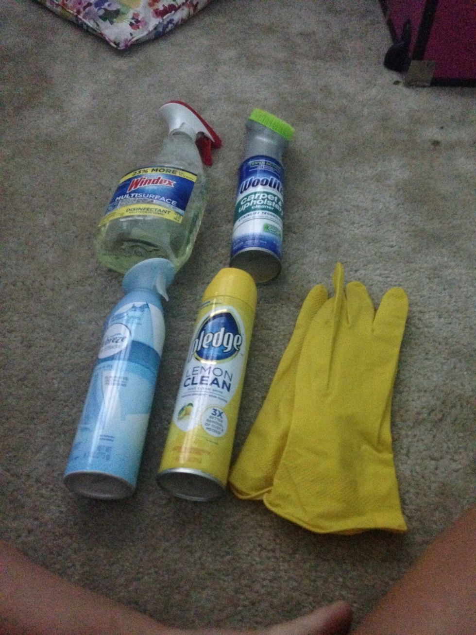 Now it's time to clean everything. Ugh. The woolite is for carpet stains and the pledge is for my wood furnisher I ALWAYS spray febreze for smell. ( everything can be found at The nearest store near u
