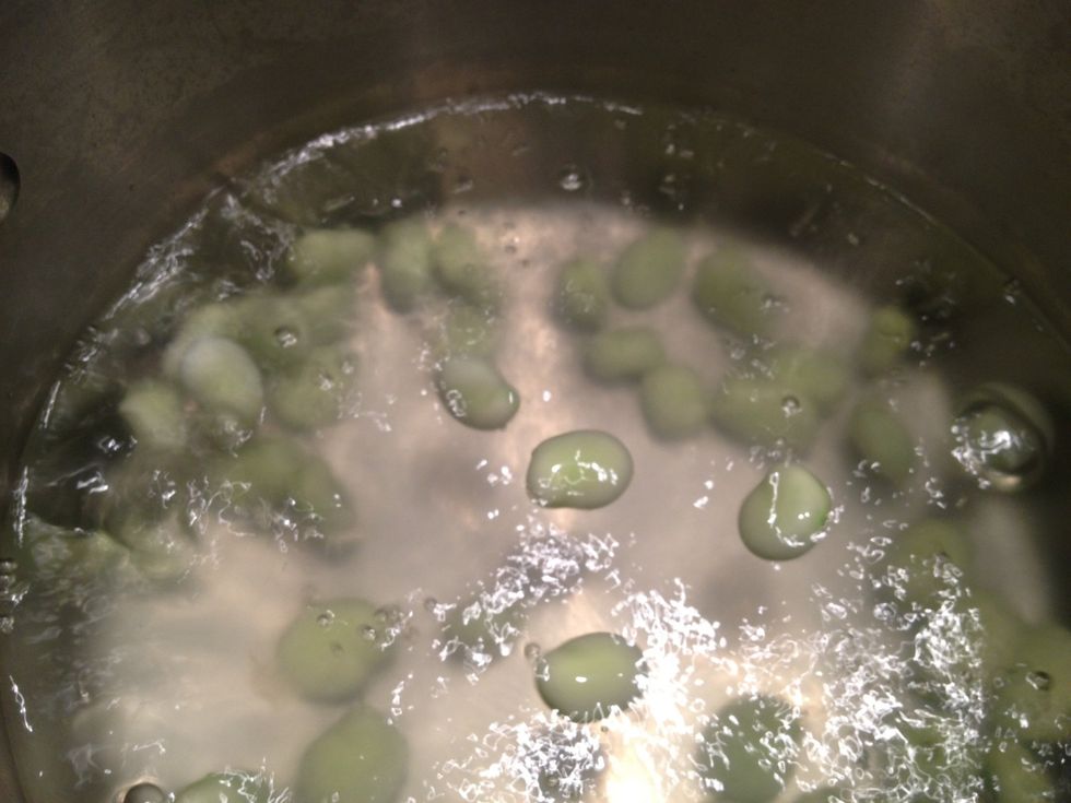 Now its time to cook the favas. Do not drain the pot of water. Bring it back to a boil and add the favas. Let them boil for one minute.