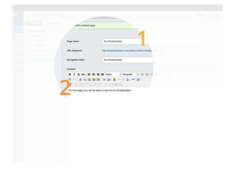 Now, its time to name your page and add your content. You will also need to add a navigation label which will be displayed in the URL. The large HTML editor is where you will add your content.