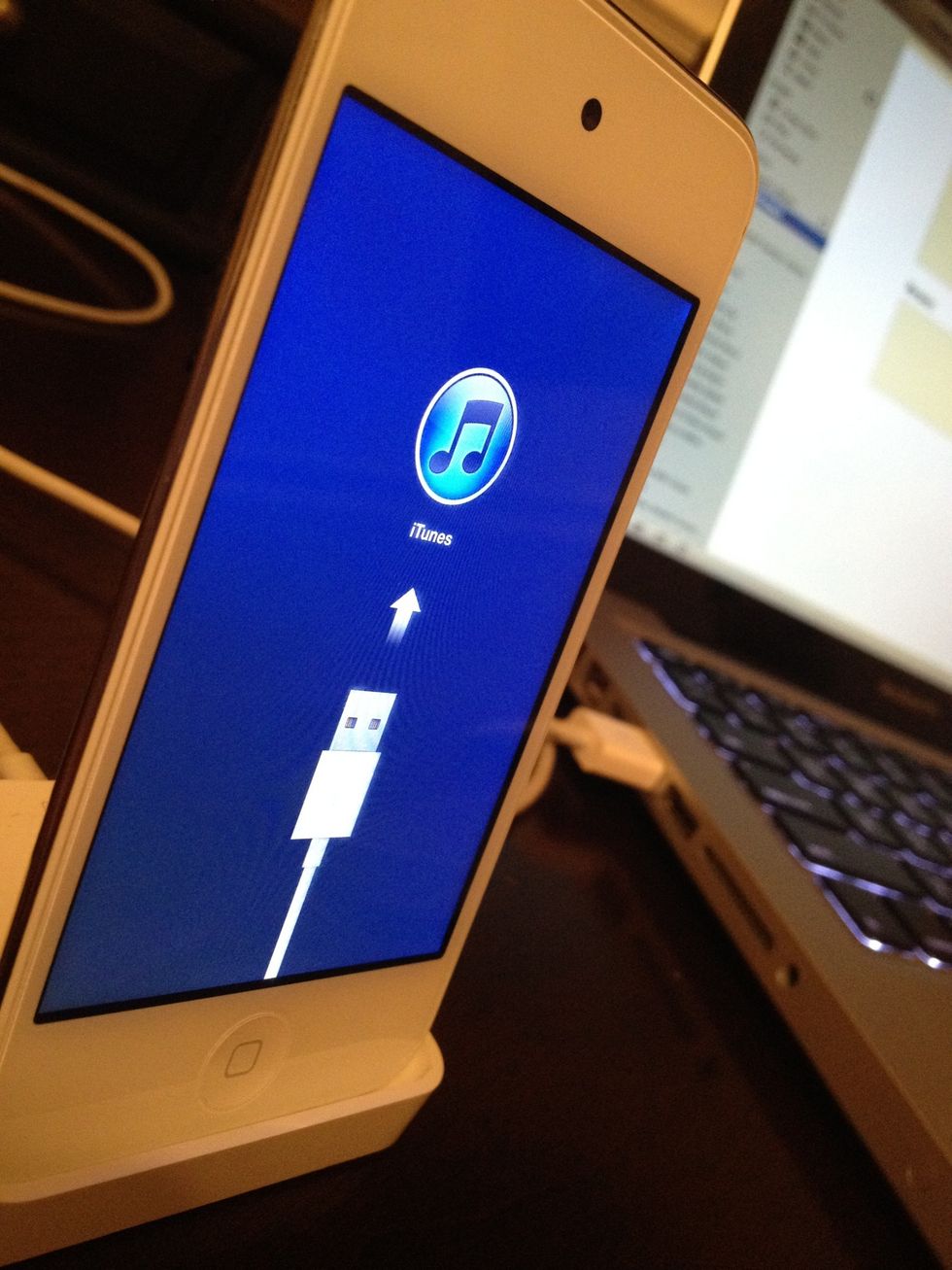 Now just watch as iTunes and your device do its thing!