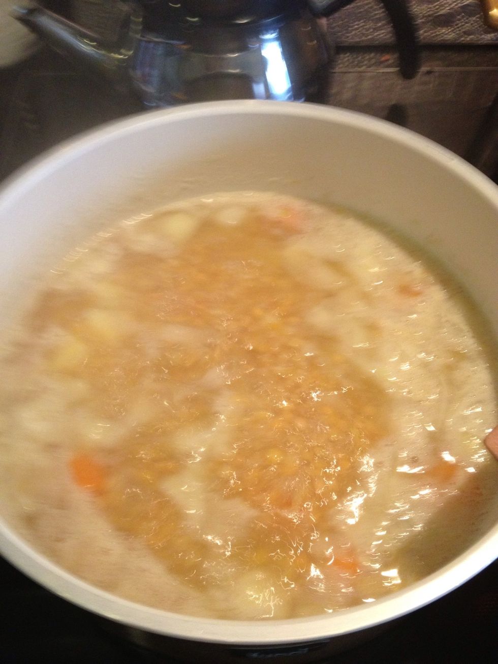Now let it all cook until the carrot becomes soft!