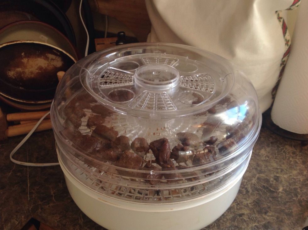 Now let it dehydrate for at least 24 hours.