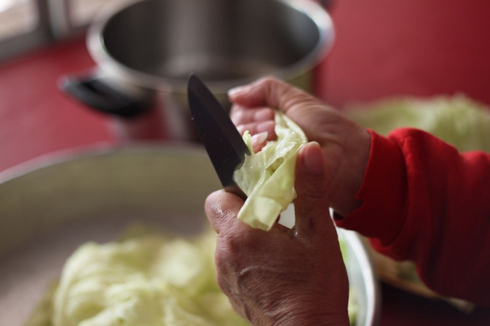 Now let's go back to our cabbage. Cut about 10cm squares. Doesn't have to be perfect. You can check out the video on YouTube in full HD. Sorry I can't add the videos here as the files are 1.2gb each.