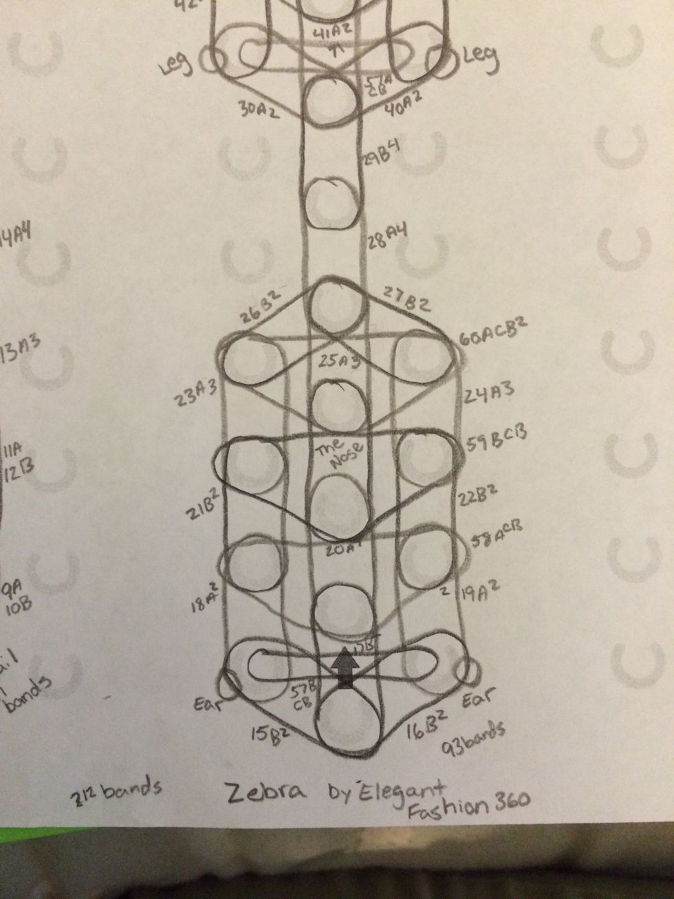 Now let's start working on the head and then the body