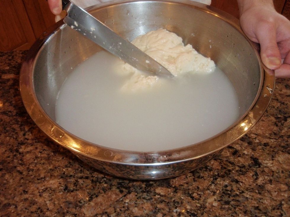Now let the curd sit in the hot water until it is soft enough to start forming back together. Perform this step using a large knife or spoon to gently mass the softened curd back to one solid piece.