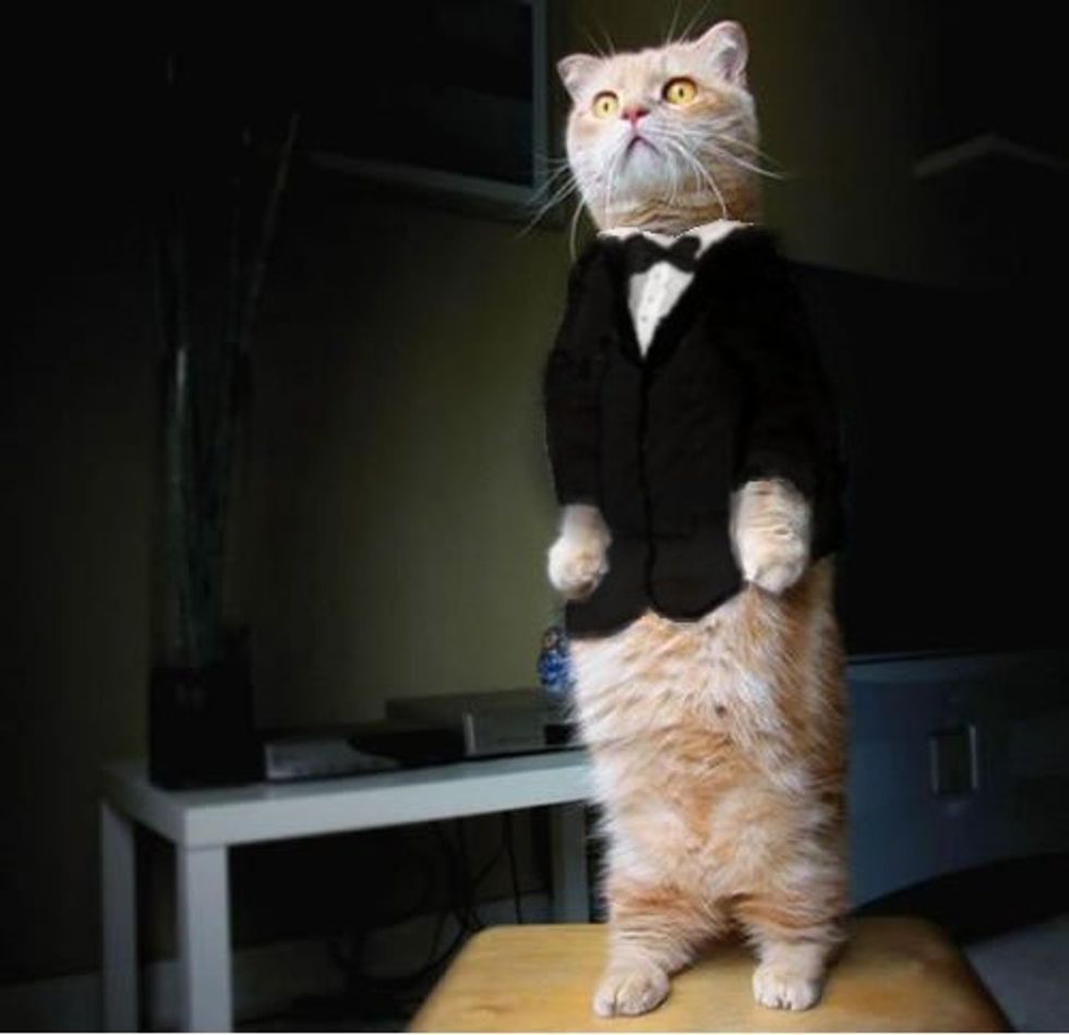 now lets get started. i will start by teaching you about  RAM, then ROM, then virtual memory but finally  flash memory