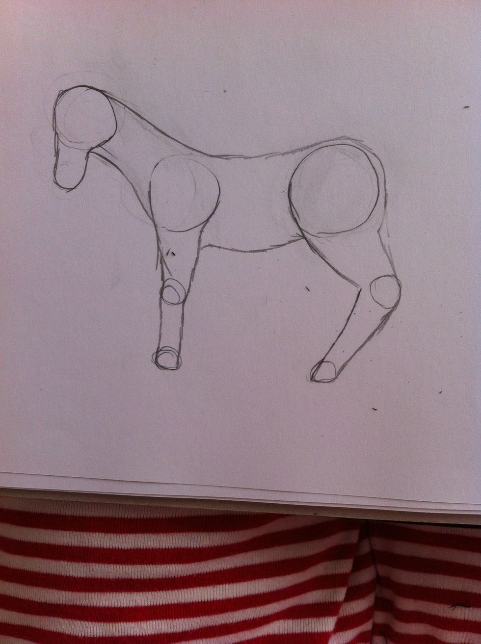 Now make lines showing the body of the horse.