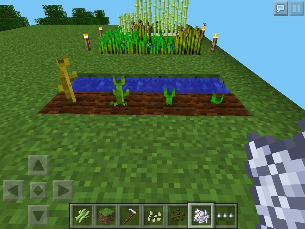 Now, melons and pumpkins! Getting the seeds for these is very difficult, you will need to build a Nether Reactor. But this isn't a guide for that, sorry!