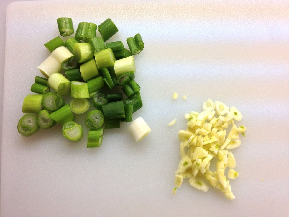 Now, mice your green onion and garlic.