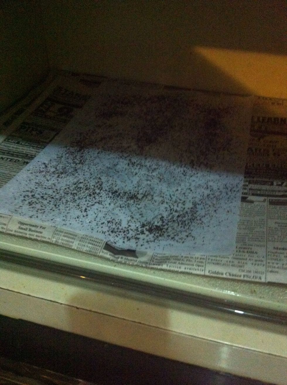 now oven it for one minute