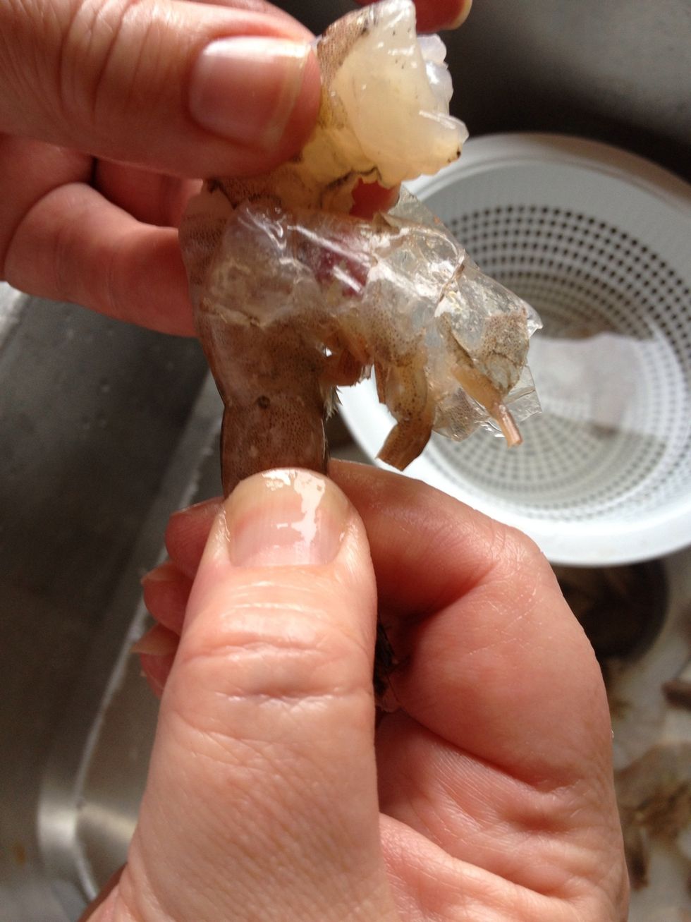 Now pinch just above the tail where the meat ends and gently pull the meat out.