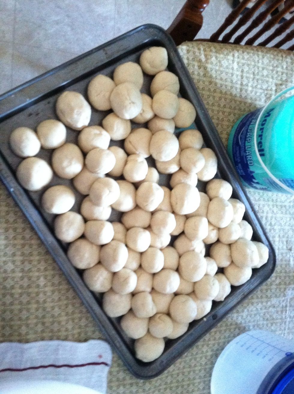 Now, put a little lard onto your hands to coat the dough balls. This helps the dough not dry. If you are using a rolling pin ignore steps 11-16. Roll out the thinnest tortillas you can.