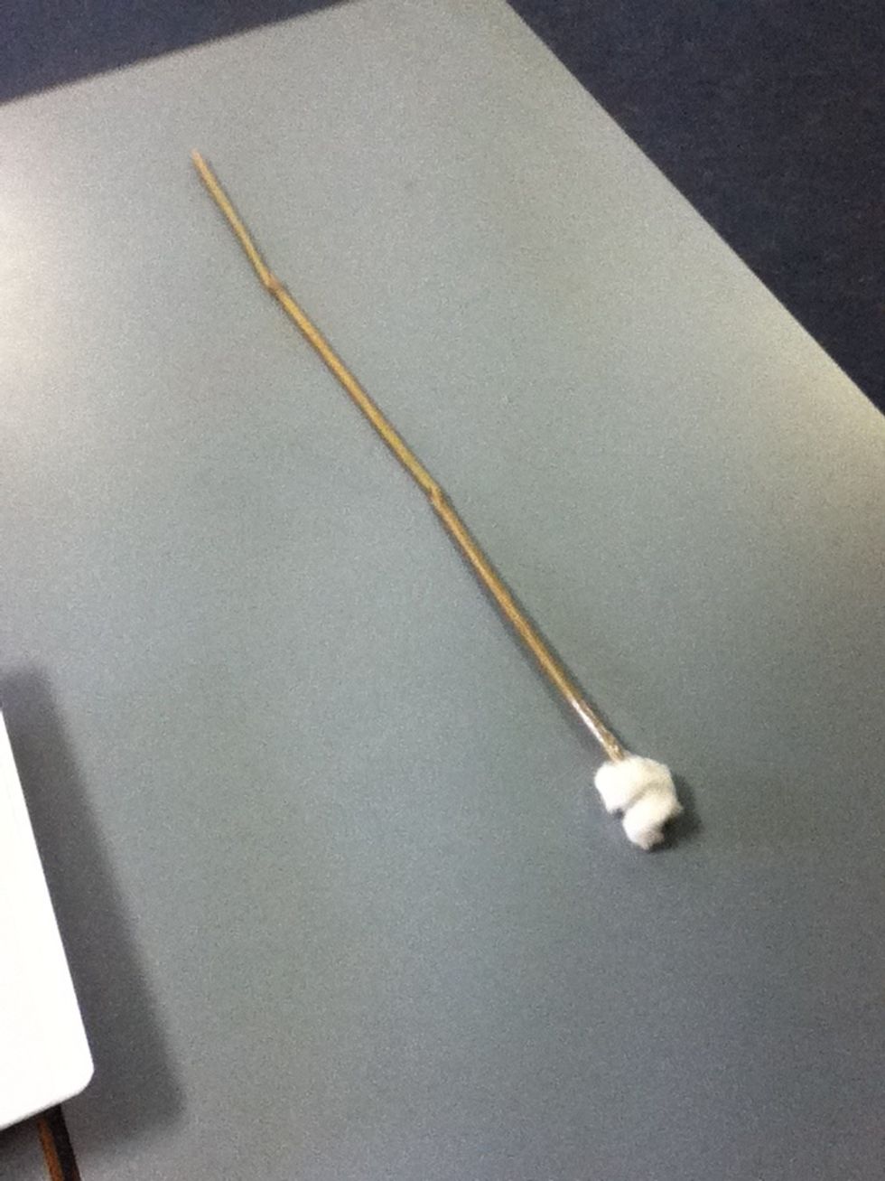 Now put cotton balls on the end of the arrow.