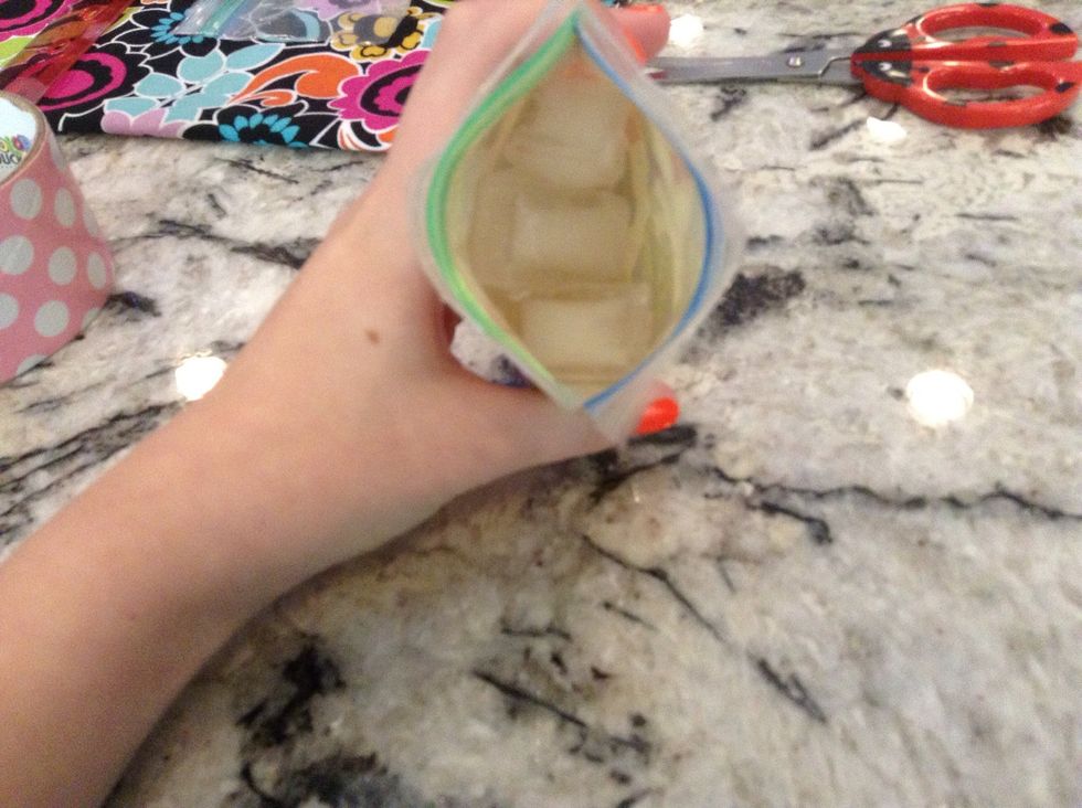 Now put the ice in and seal the bag