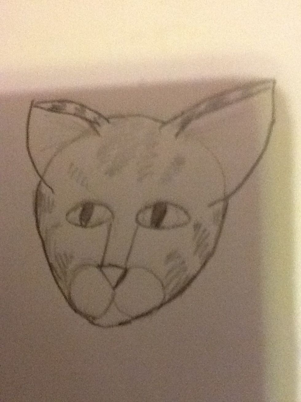 Now put two spheres for the mouth and cheeks. I have also put in some detailed stripes, but you can make your cat as detailed or not as you like!
