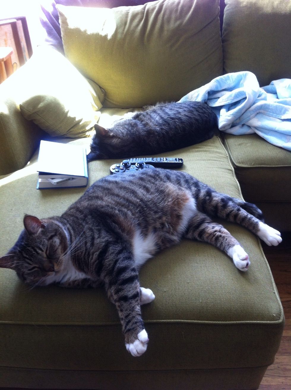 now relax. you have about 20 days before bottling. take some tips from the sphinx creatures that parade around your dwelling.