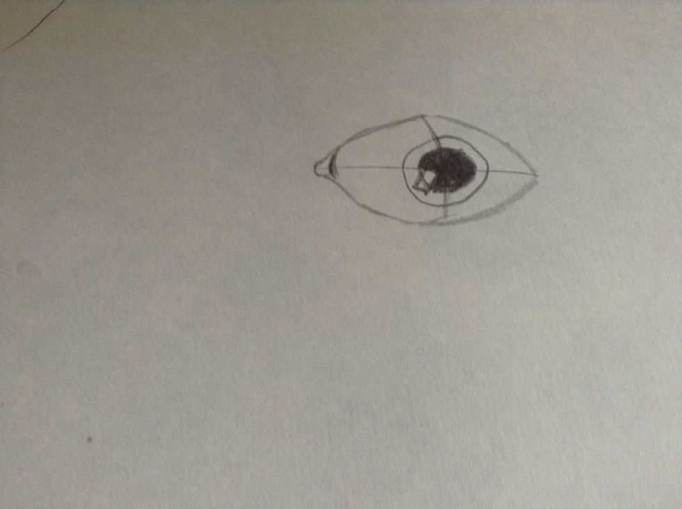 Now shade in the pupil!!