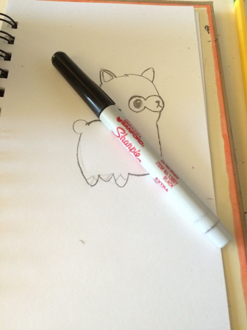 Now sharpie on the dark lines not the details