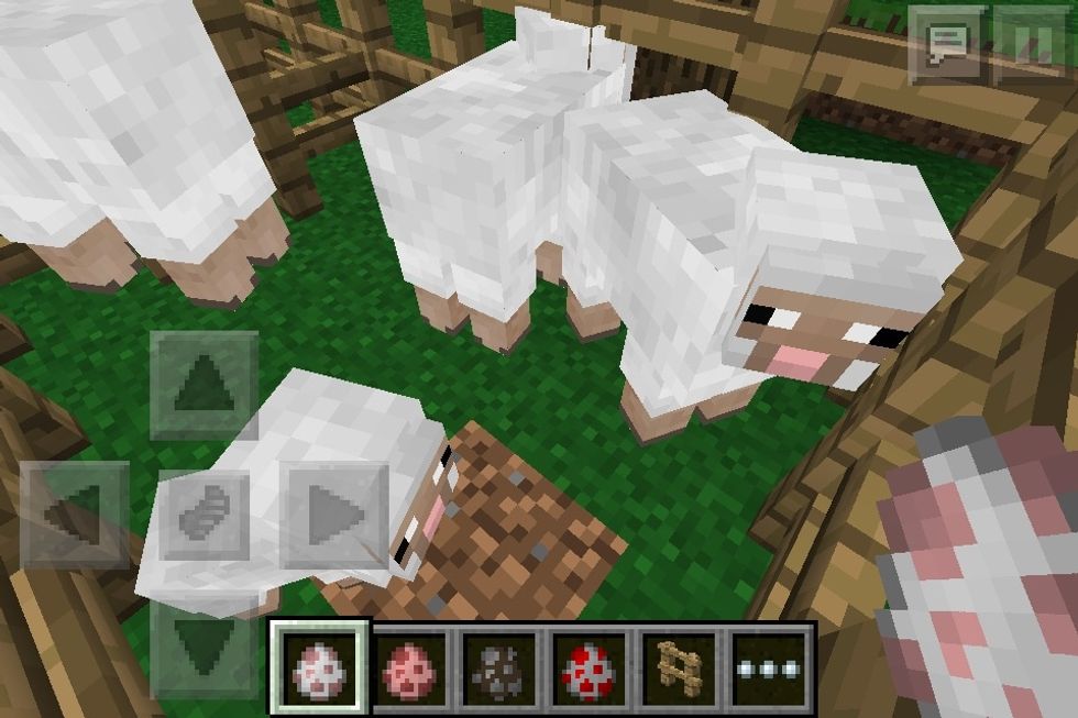 Now spawn the sheep