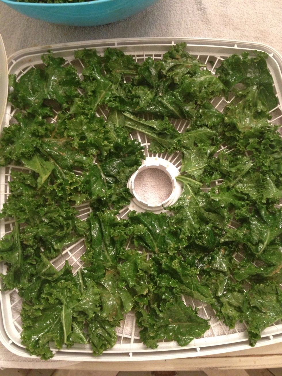 Now spread them evenly in one layer on each tray. Be careful not to overcrowd or overlap.