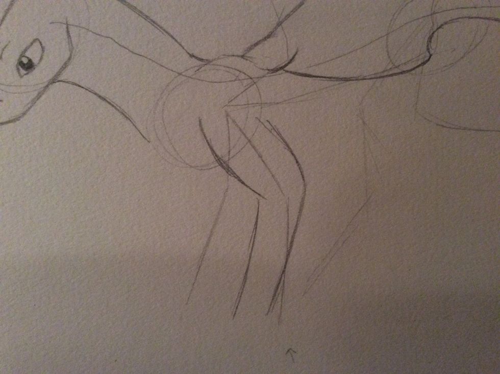 Now start on the front legs