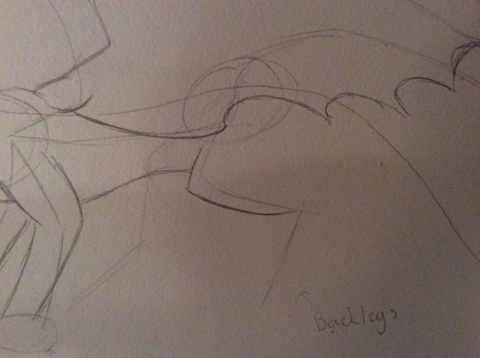 Now start the hind legs