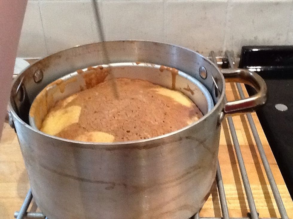 Now take it out and see if it bounces back when you put your finger on the sponge