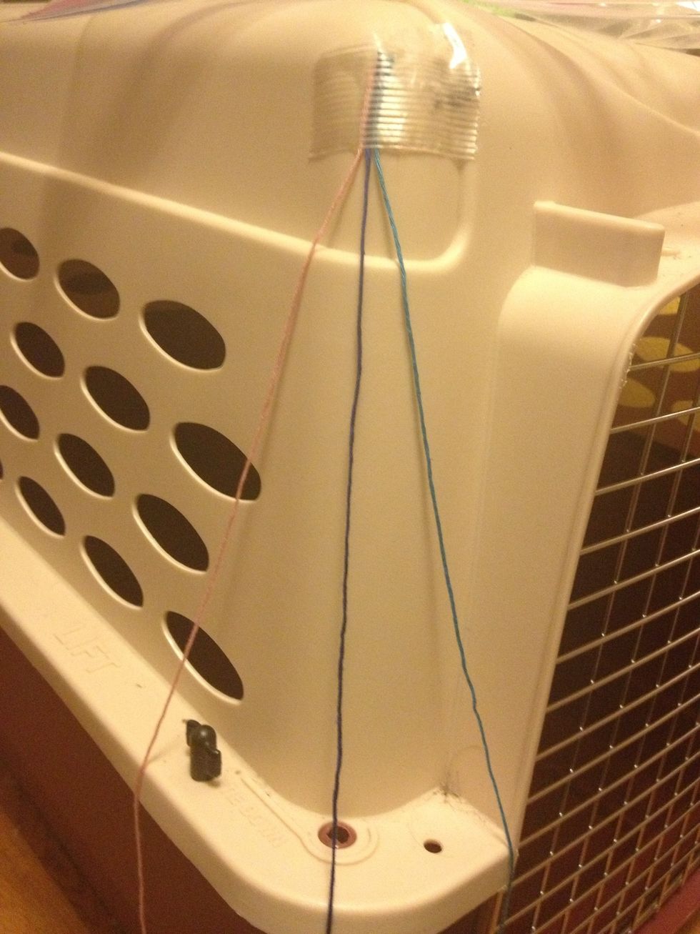 Now take the three strands separate them and tape them to something (you will probably want a table but I used my dogs crate lol)