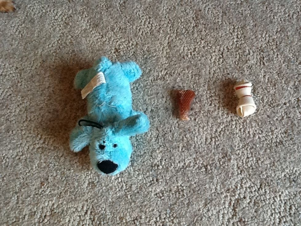 Now take your toy and chewsticks and put them in the kennel.