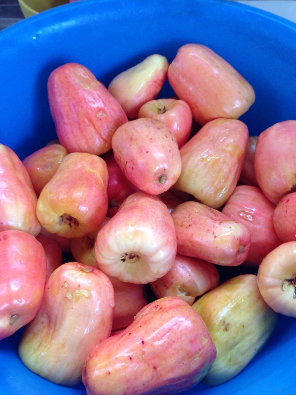 Now that all the seeds were twisted off rinse and wash the Mara\u00f1on fruit ( Cashew Apple ) well.