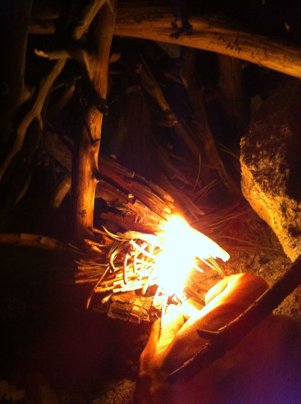 now that it's getting dark and evil out, you will need this fire to keep off the descent of the wolf pack. wedge your handful of pine needles as close as you can to your original square base and light