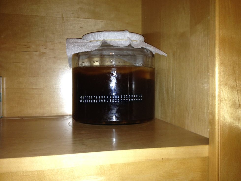 Now that it's in an out of the way location where it won't be disturbed - cover it with a clean cloth. The cloth should be fastened tightly with a rubber band. Leave the kombucha alone for 7-10 days.