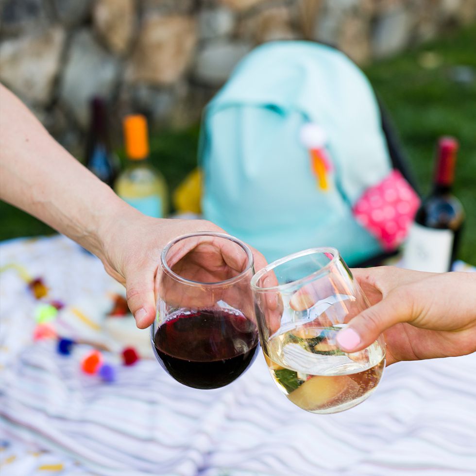 Now that\u2019s something to cheers about! Make sure to check out the full post for how to DIY your own wine backpack: http://go.brit.co/2nejT9m