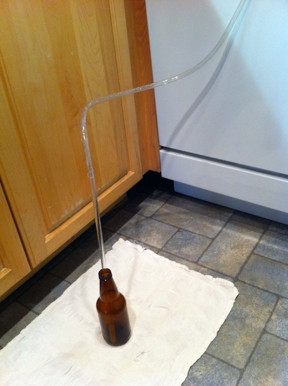 now that your bottles are cooked and cooled.  start your siphon an fill those little guys up. put them on the ground below your elevated carboy and press your spout into them to just fill them. fill.