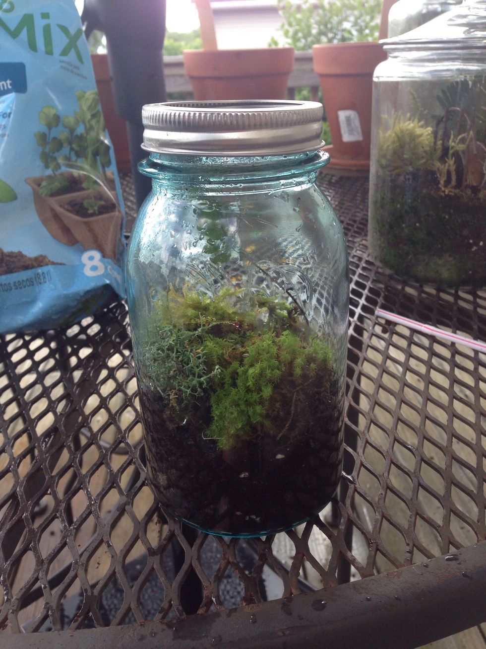Now that your jar is all planted and moist, screw the lid on LOOSELY. If you don't leave the lid loose, the plants will not be able to get oxygen, but you defined need a lid to keep the moisture.