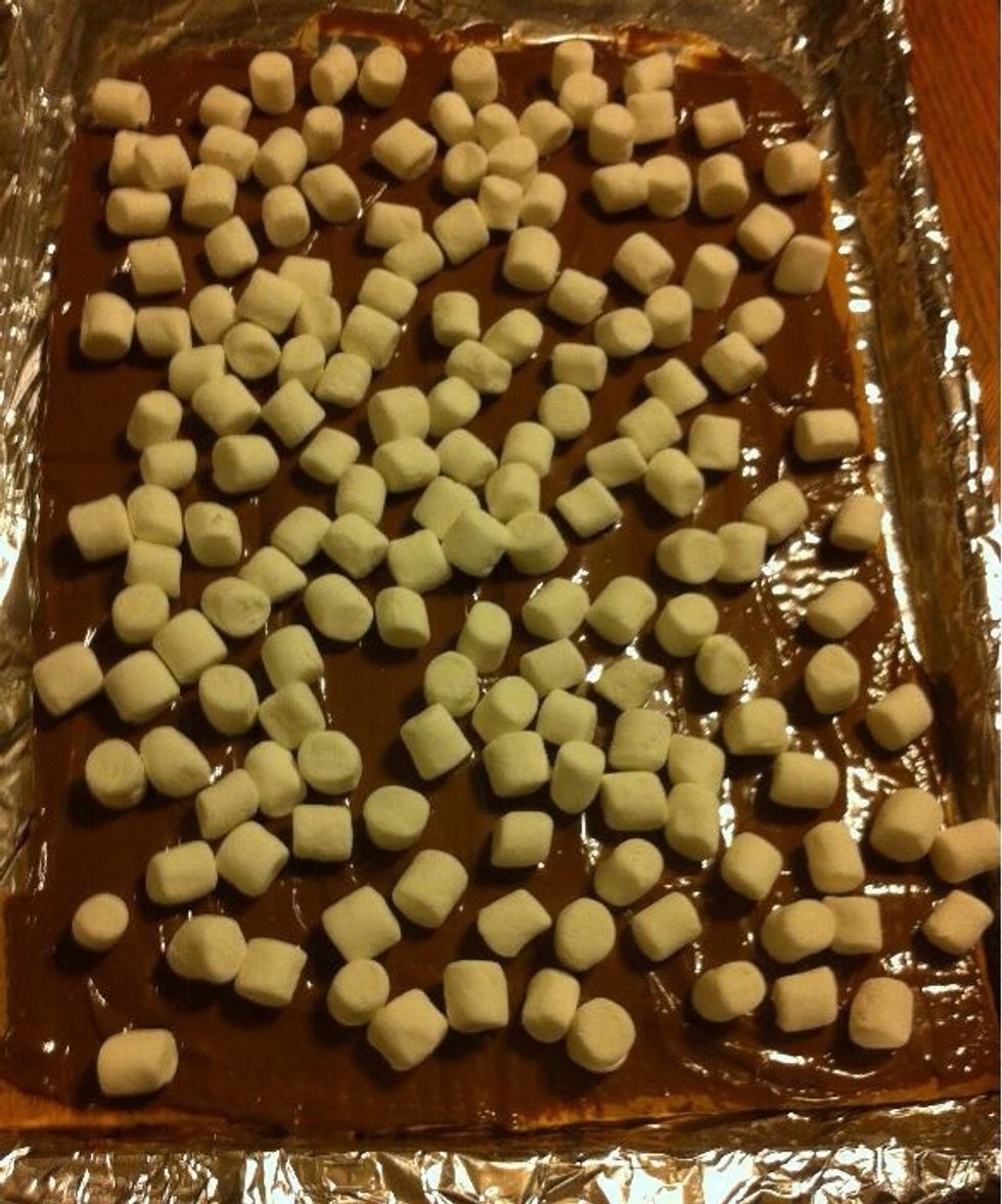 Now, the fun part, sprinkle with your mini marshmallows and graham cracker crumbs.