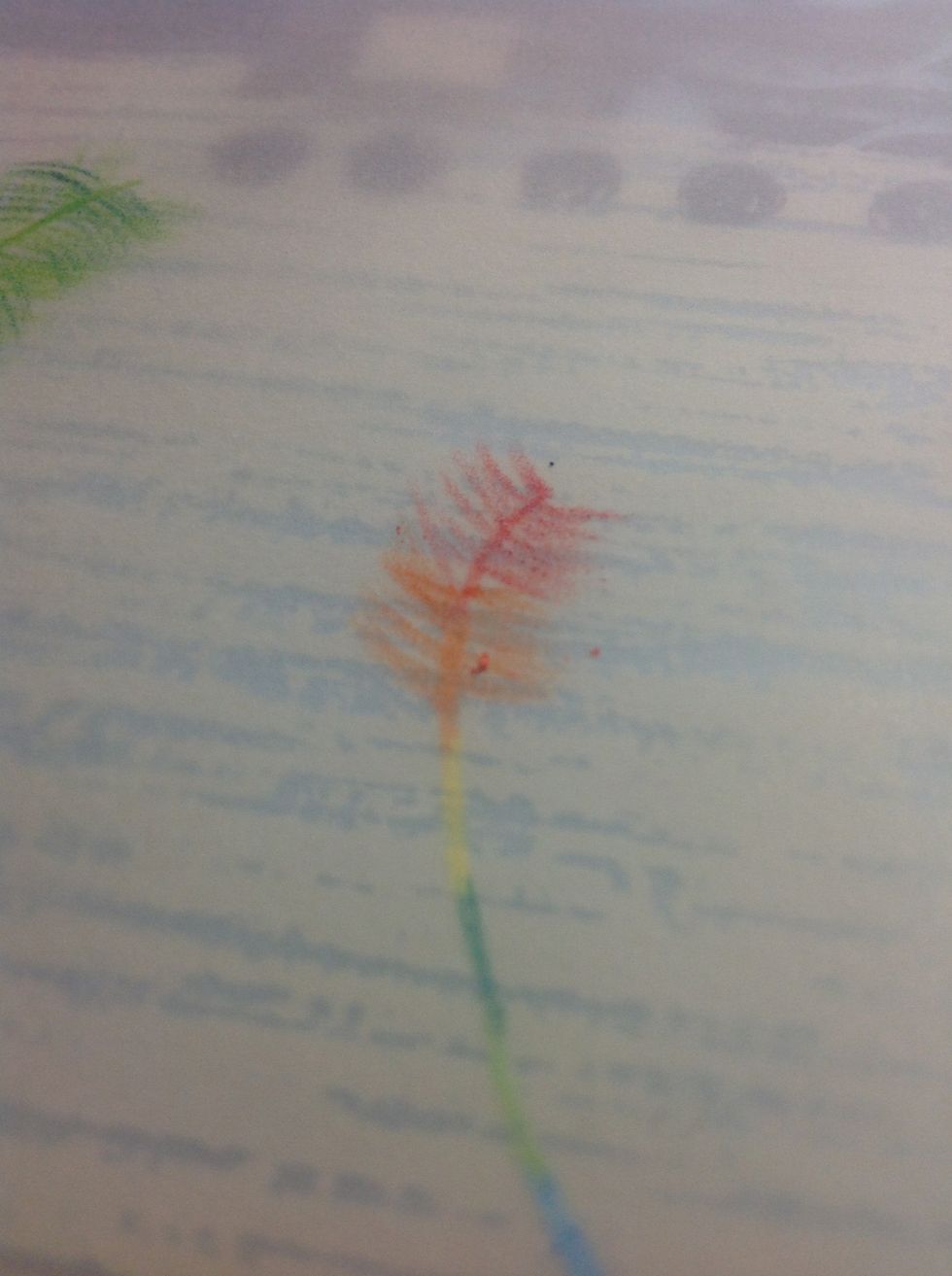 Now the orange