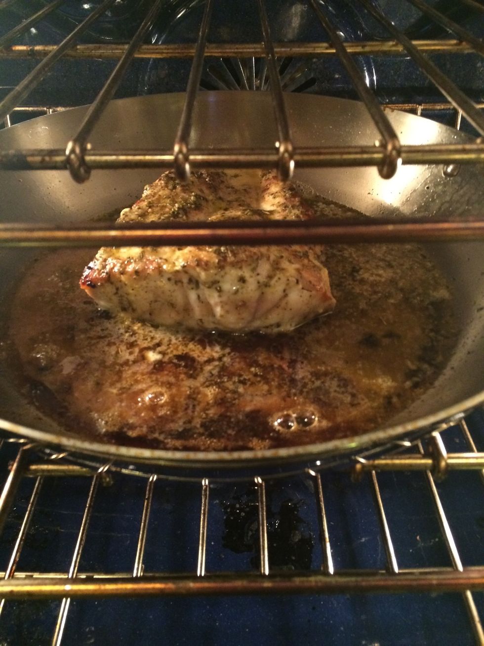 How to cook grouper B+C Guides