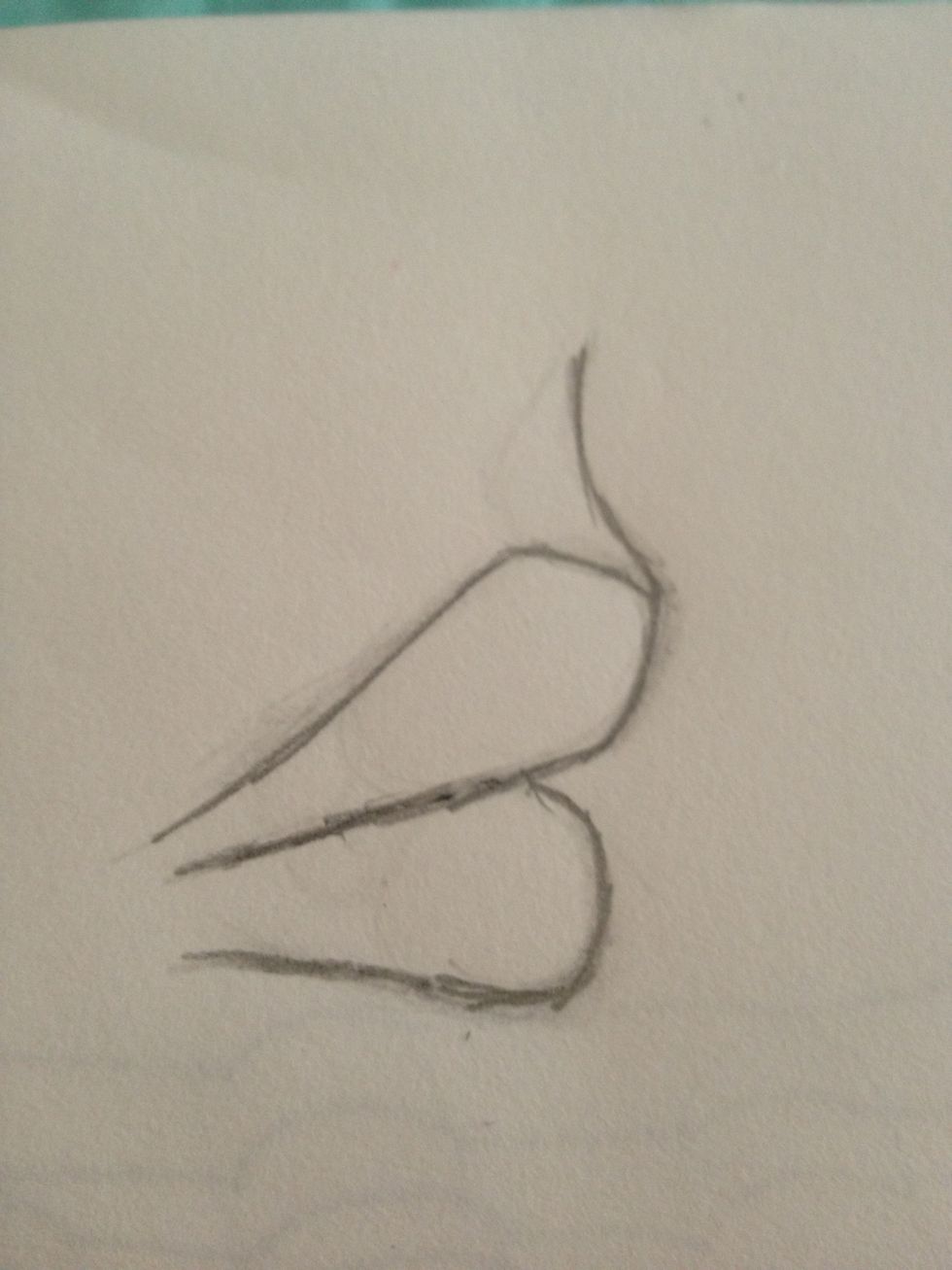 Now tidy your lines and surroundings